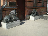 львы у музея