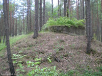 бункер в лесу