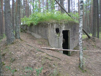 бункер в лесу