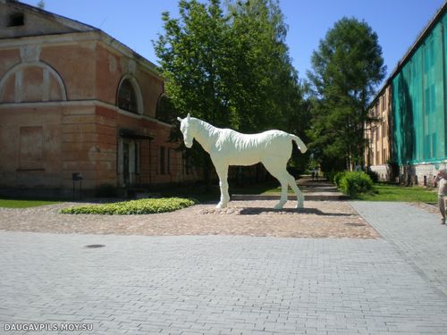 white horse