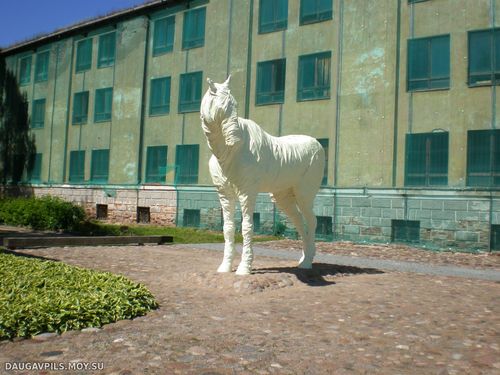 white horse